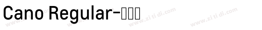 Cano Regular字体转换